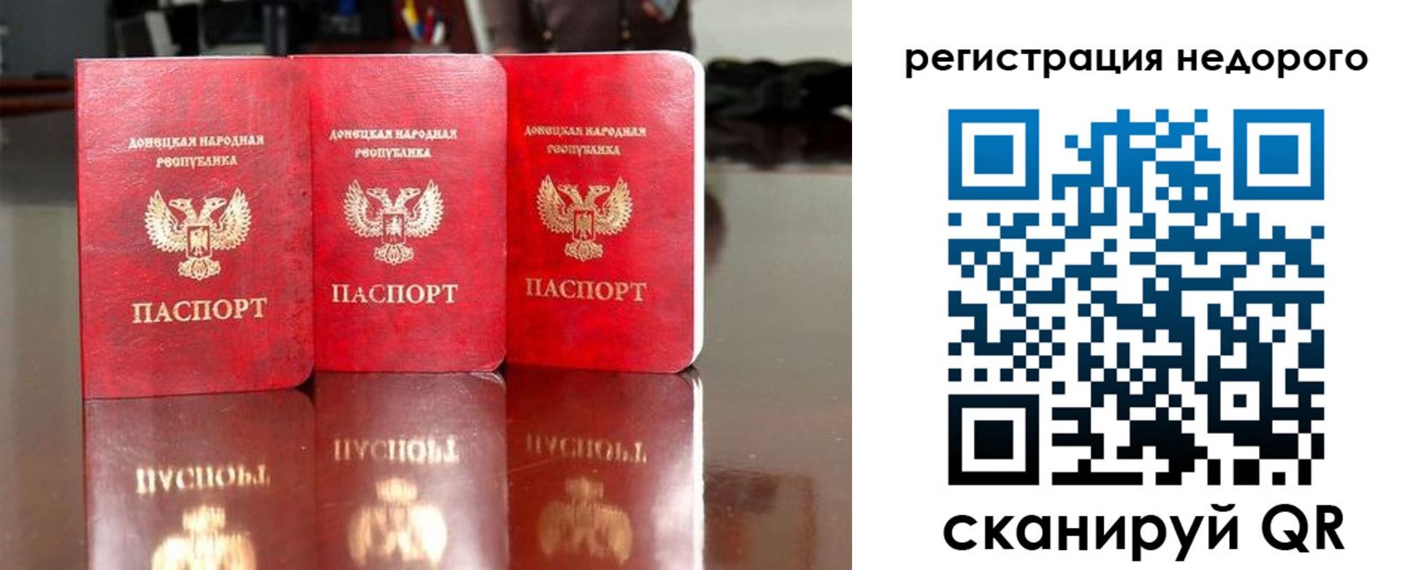 прописка законно в Оленегорске